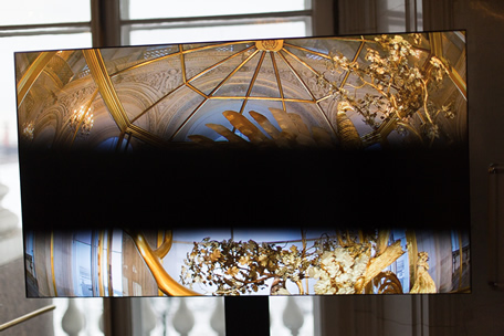 Wolfgang Tillmans